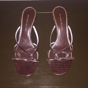 Antonio Melani mules